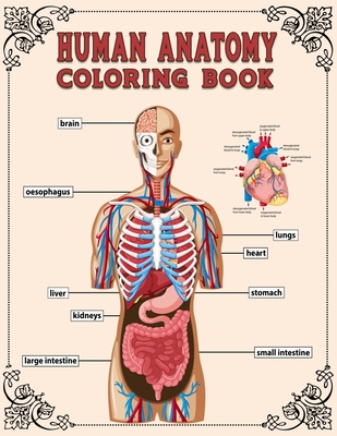 Download Human Anatomy Coloring Book Human Body Anatomy Physiology Coloring Book For Children Teens Or Medical Student To Know About Human Body A Sel Paperback River Bend Bookshop Llc