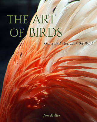 The Art of Birds: Grace and Motion in the Wild