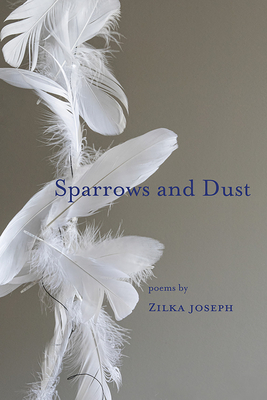 Sparrows and Dust Cover Image