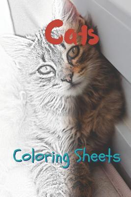Cat Coloring Sheets: 30 Cat Drawings, Coloring Sheets Adults Relaxation, Coloring Book for Kids, for Girls, Volume 13 By Julian Smith Cover Image