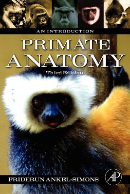 Primate Anatomy: An Introduction Cover Image