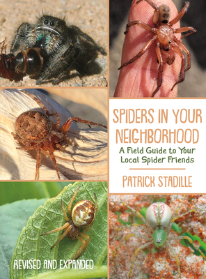 Spiders in Your Neighborhood: A Field Guide to Your Local Spider Friends, Revised and Expanded Cover Image