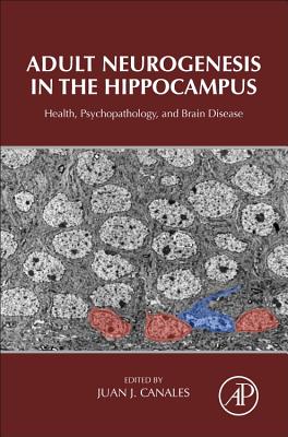 Adult Neurogenesis in the Hippocampus: Health, Psychopathology, and Brain Disease Cover Image