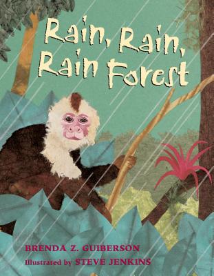 Cover for Rain, Rain, Rain Forest
