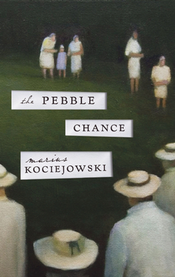 Cover for The Pebble Chance