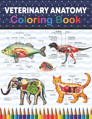 Veterinary Anatomy Coloring Book: Veterinary Anatomy Self Test Guide for  students. Animal Art & Anatomy Workbook for Kids & Adults. Perfect Gift for  V (Paperback) | Books and Crannies