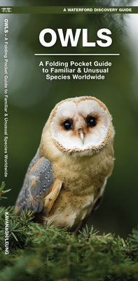 Owls: A Folding Pocket Guide to Familiar Species Worldwide (Waterford Discovery Guide)