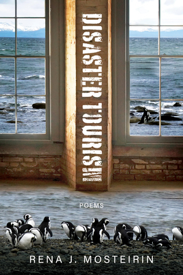 Disaster Tourism By Rena J. Mosteirin Cover Image