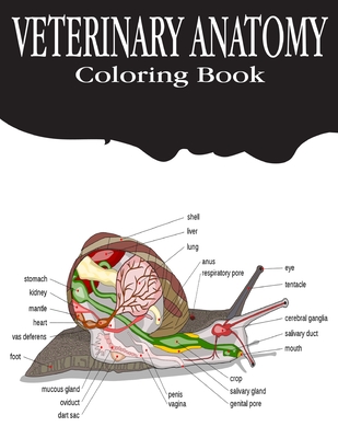 Veterinary Anatomy Coloring Book: Anatomy Magnificent Learning Structure  for Students & Even Adults .Vol-1 (Paperback) | Left Bank Books