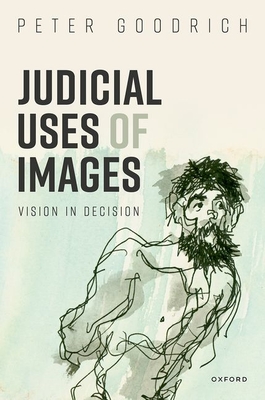 Judicial Uses of Images: Vision in Decision Cover Image