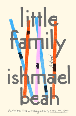 Little Family: A Novel Cover Image