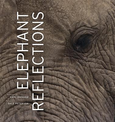 Elephant Reflections