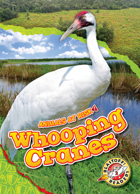 Whooping Cranes (Animals at Risk) Cover Image