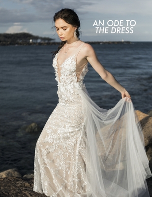 Ode to the Dress: Fashion lookbook By Toyah Love Cover Image