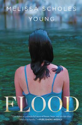 Flood: A Novel By Melissa Scholes Young Cover Image