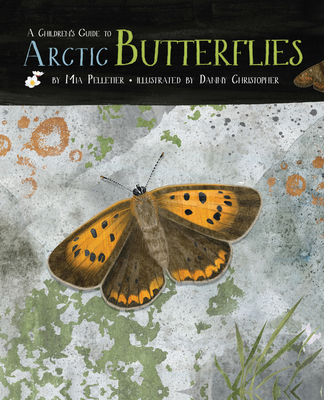 A Children's Guide to Arctic Butterflies (English) Cover Image