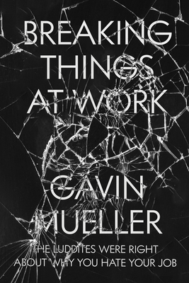 Cover for Breaking Things at Work