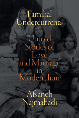 Familial Undercurrents: Untold Stories of Love and Marriage in Modern Iran Cover Image