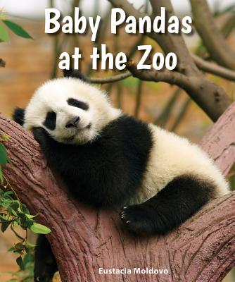 Baby Pandas at the Zoo (All about Baby Zoo Animals)