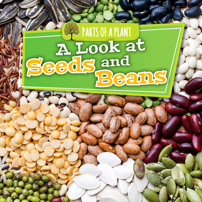 A Look at Seeds and Beans (Parts of a Plant) By Lindsey Lowe Cover Image