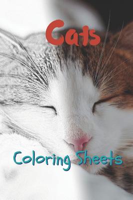Cat Coloring Sheets: 30 Cat Drawings, Coloring Sheets Adults Relaxation, Coloring Book for Kids, for Girls, Volume 14 By Julian Smith Cover Image