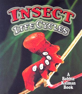 Insect Life Cycles (World of Insects)