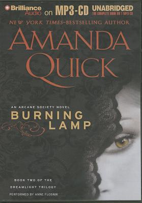 Cover for Burning Lamp