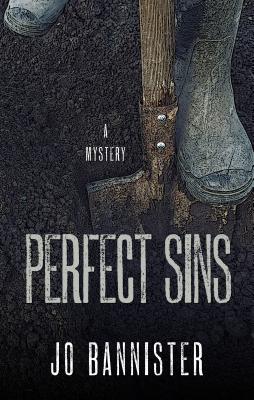 Cover for Perfect Sins