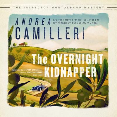 The Overnight Kidnapper Cover Image
