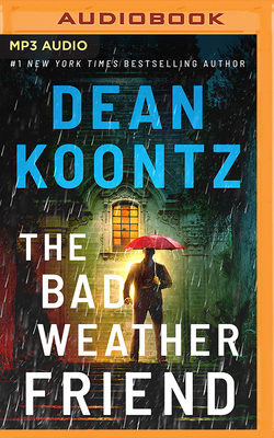 The Bad Weather Friend Cover Image