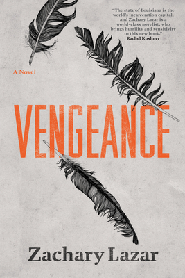 Cover Image for Vengeance