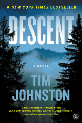 Cover Image for Descent: A Novel