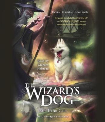 Cover for The Wizard's Dog