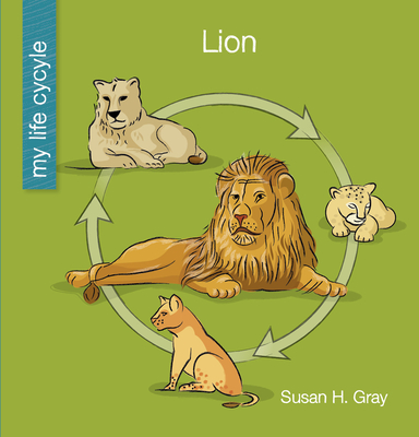 Lion (My Early Library: My Life Cycle)