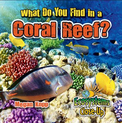 What Do You Find in a Coral Reef? (Ecosystems Close-Up)