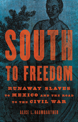 South to Freedom: Runaway Slaves to Mexico and the Road to the Civil War Cover Image