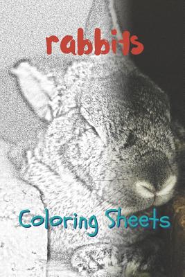 Rabbit Coloring Sheets: 30 Rabbit Drawings, Coloring Sheets Adults Relaxation, Coloring Book for Kids, for Girls, Volume 1 By Julian Smith Cover Image