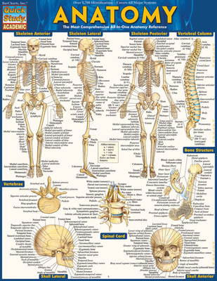 Anatomy - Reference Guide (8.5 X 11): A Quickstudy Reference Tool