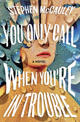 You Only Call When You're in Trouble By Stephen McCauley Cover Image