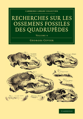 Recherches sur les ossemens fossiles des quadrupèdes - Volume 4 Cover Image