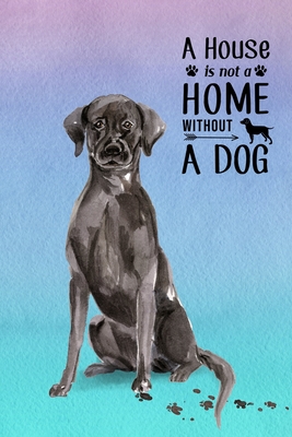 A House is Not a Home Without a Dog: Password Logbook in Disguise with Gorgeous Black Labrador Cover Cover Image
