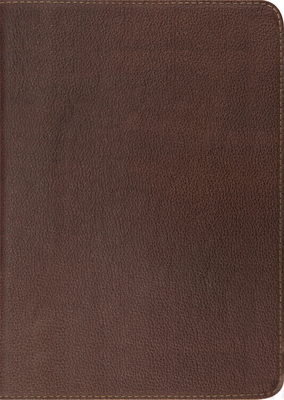 Study Bible-ESV: To Understand the Bible in a Deeper Way By Crossway Bibles (Manufactured by) Cover Image