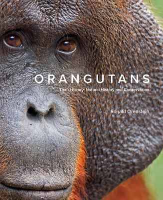 Orangutans: Their History, Natural History and Conservation By Ronald Orenstein Cover Image