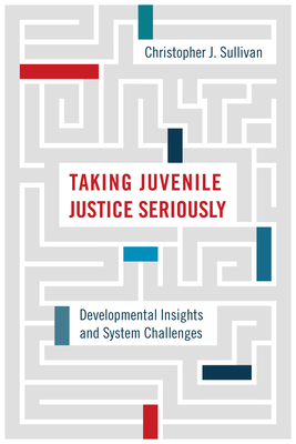 Taking Juvenile Justice Seriously: Developmental Insights and System Challenges By Christopher J. Sullivan Cover Image