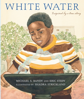 White Water By Michael S. Bandy, Eric Stein, Shadra Stickland (Illustrator) Cover Image
