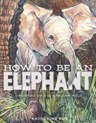 How to Be an Elephant By Katherine Roy Cover Image