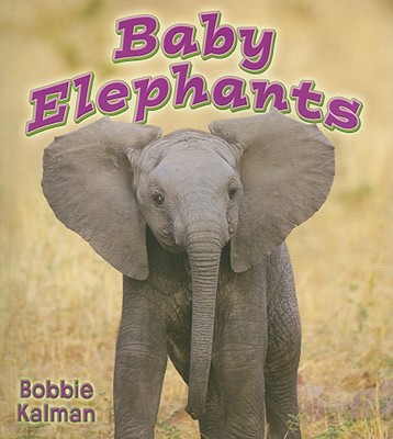 Baby Elephants (It's Fun to Learn about Baby Animals) Cover Image