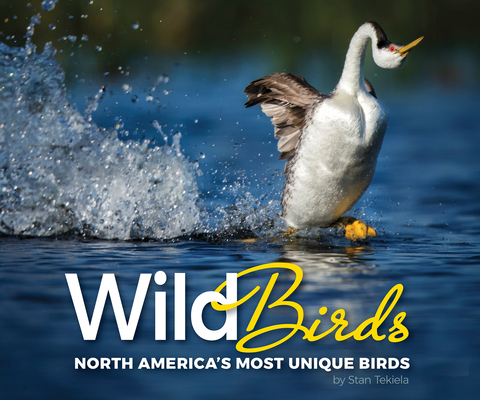 Cover for Wild Birds