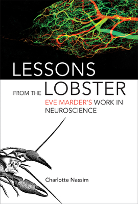 Lessons from the Lobster: Eve Marder's Work in Neuroscience