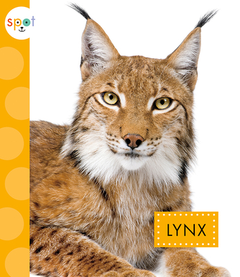 Lynx (Spot Wild Cats)